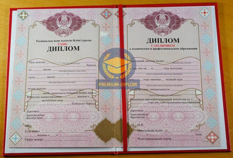 Техникум 2009-2025 с отличием (Казахстан) - фото